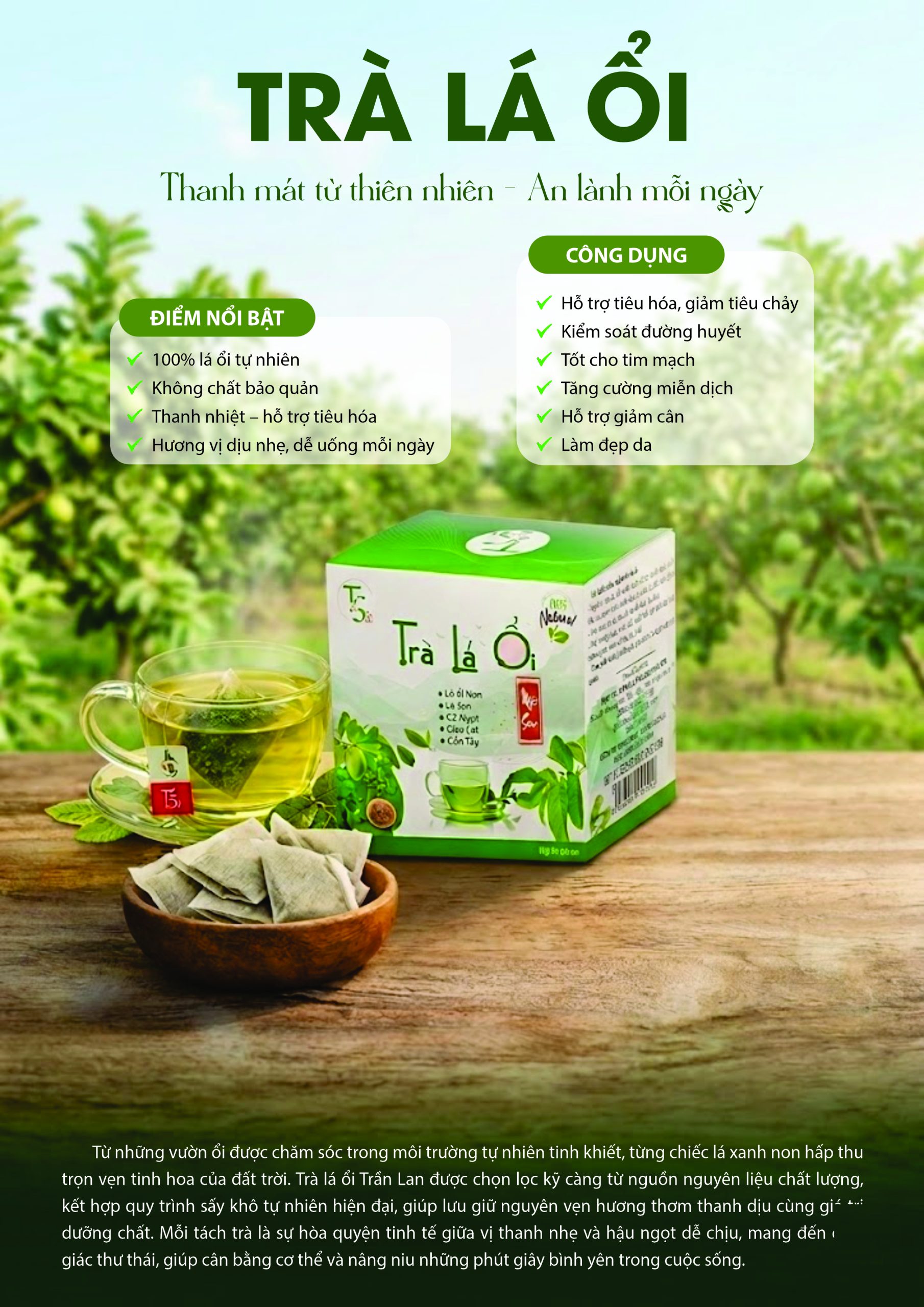 Trà lá ổi – Hộp 105g(35 túi lọc)